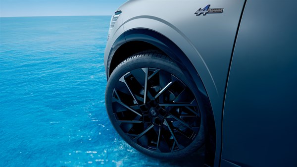 ekskluzivne felne i spoljne oznake - Renault